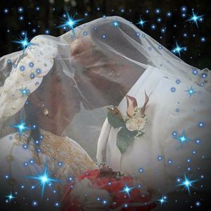 Meet your Posher, Connie